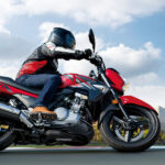 موتورسیکلت سوزوکی مدل اینازوما 250 سال 1398 - تصویر 4